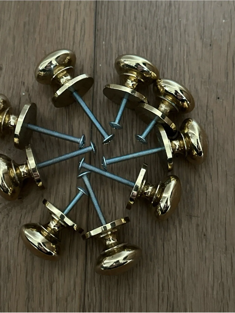 Polished Brass Wall Knobs. Set of 9- Gold Finish